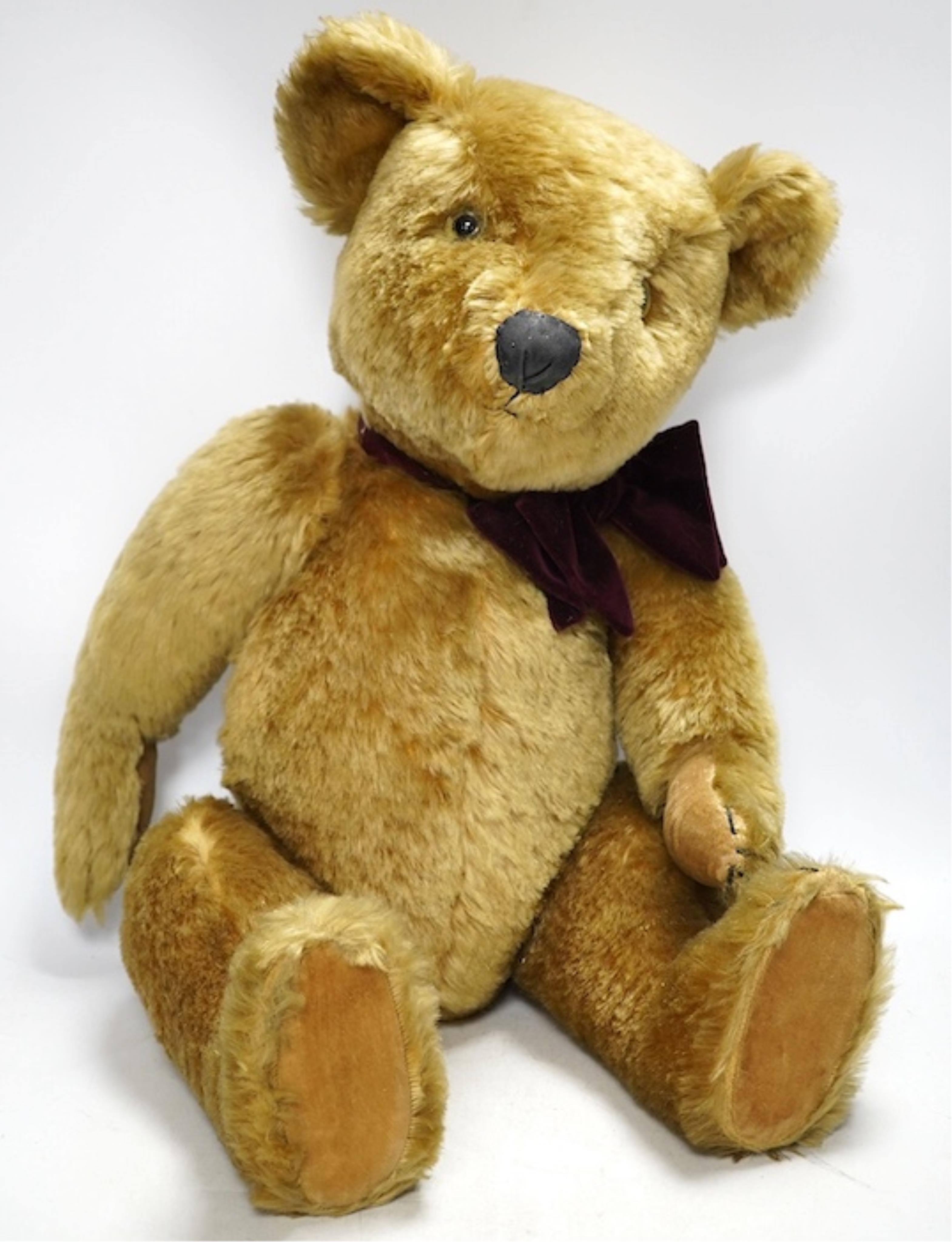 A Pedigree bear, c.1950, with velvet paw pads, 62cm high. Condition - good